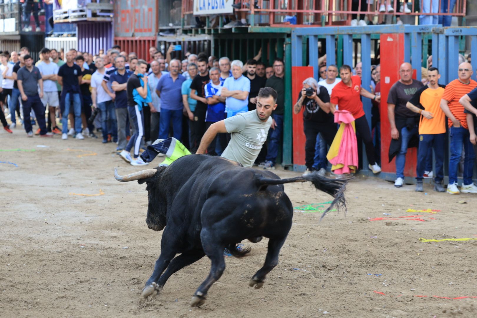 Fotos de la tarde taurina del jueves de las fiestas de Sant Pasqual en Vila-real