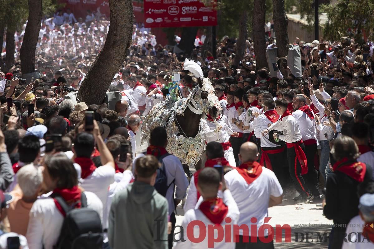 Así se ha vivido la carrera de los Caballos del Vino en Caravaca