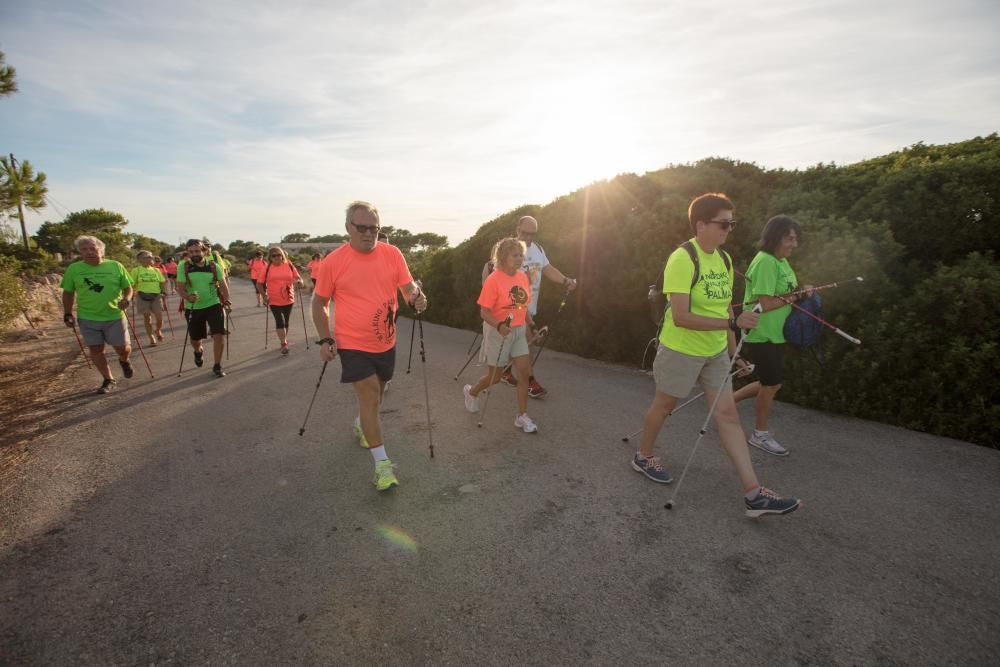 Mucho más que caminar