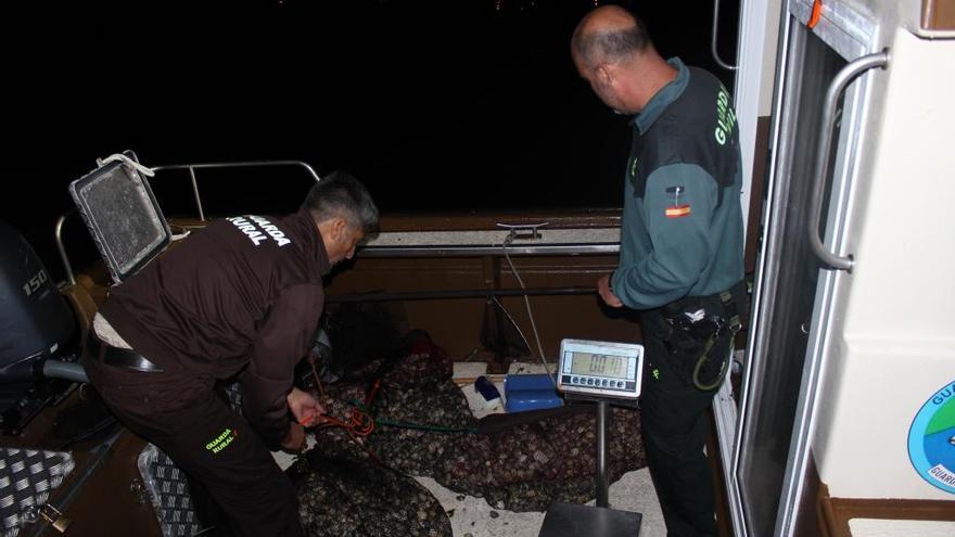 Las almejas incautadas fueron devueltas al mar.