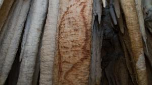 zentauroepp49370613 sociedad  im genes de las pinturas rupestres de las cuevas d190809165116