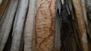 La cueva de Nerja: 25.000 años de historia en el rastro de unos murciélagos