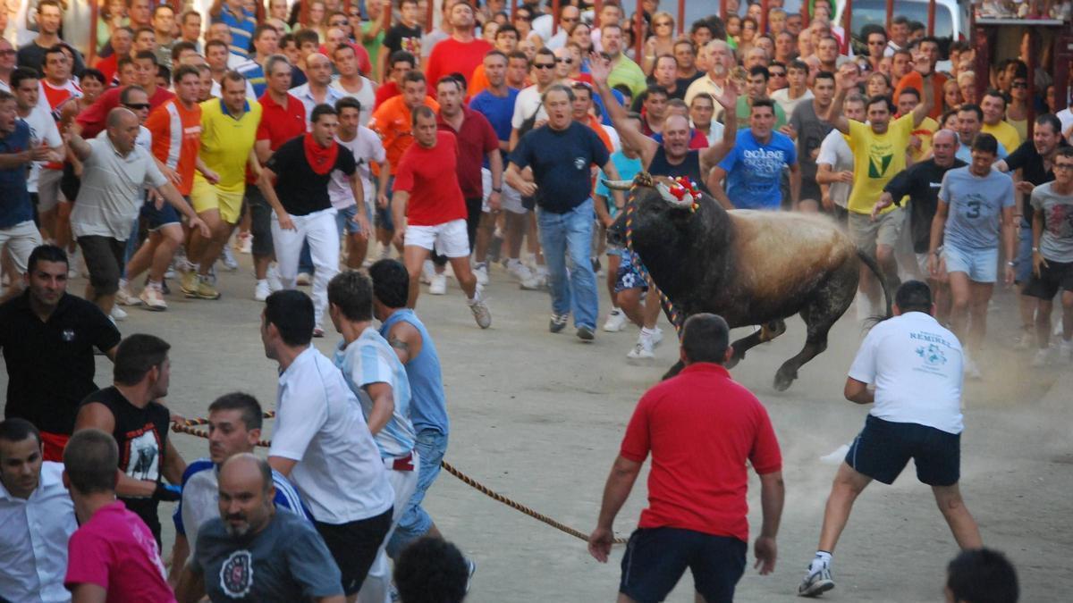 Chiva vive la emoción del Torico de la Cuerda, en una imagen de archivo.