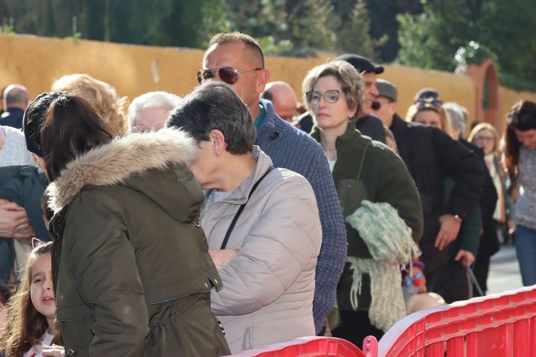 Bendición de animales en honor a Sant Antoni Abat en Torrent