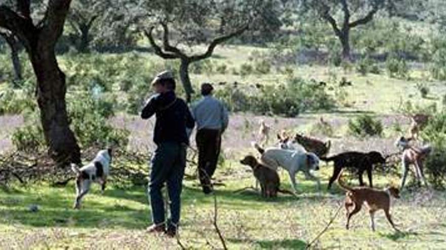 Crece el número de cazadores extranjeros en Extremadura