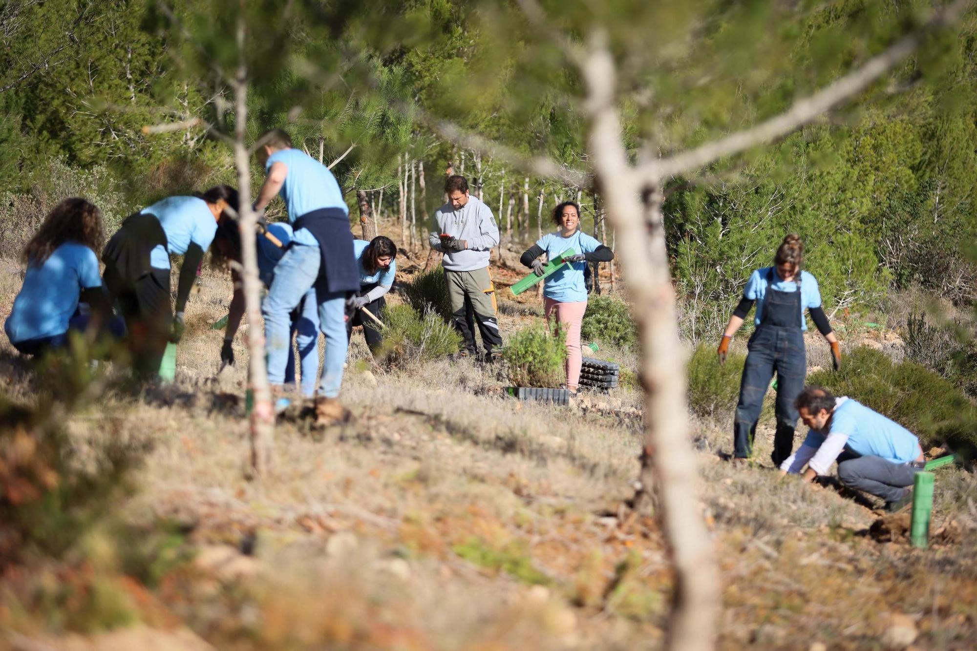 Presentación del proyecto 'Regenera natura'