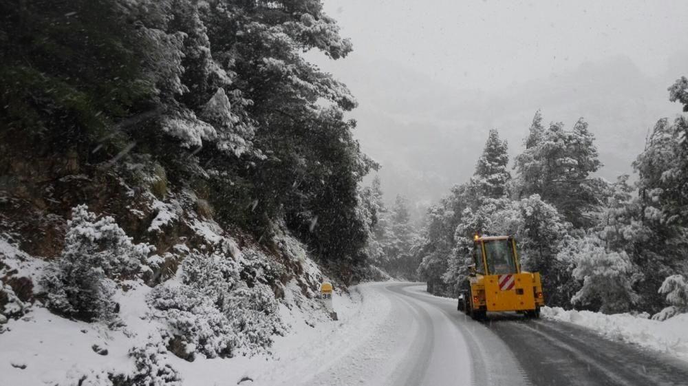 Nieve en la Serra de Tramuntana