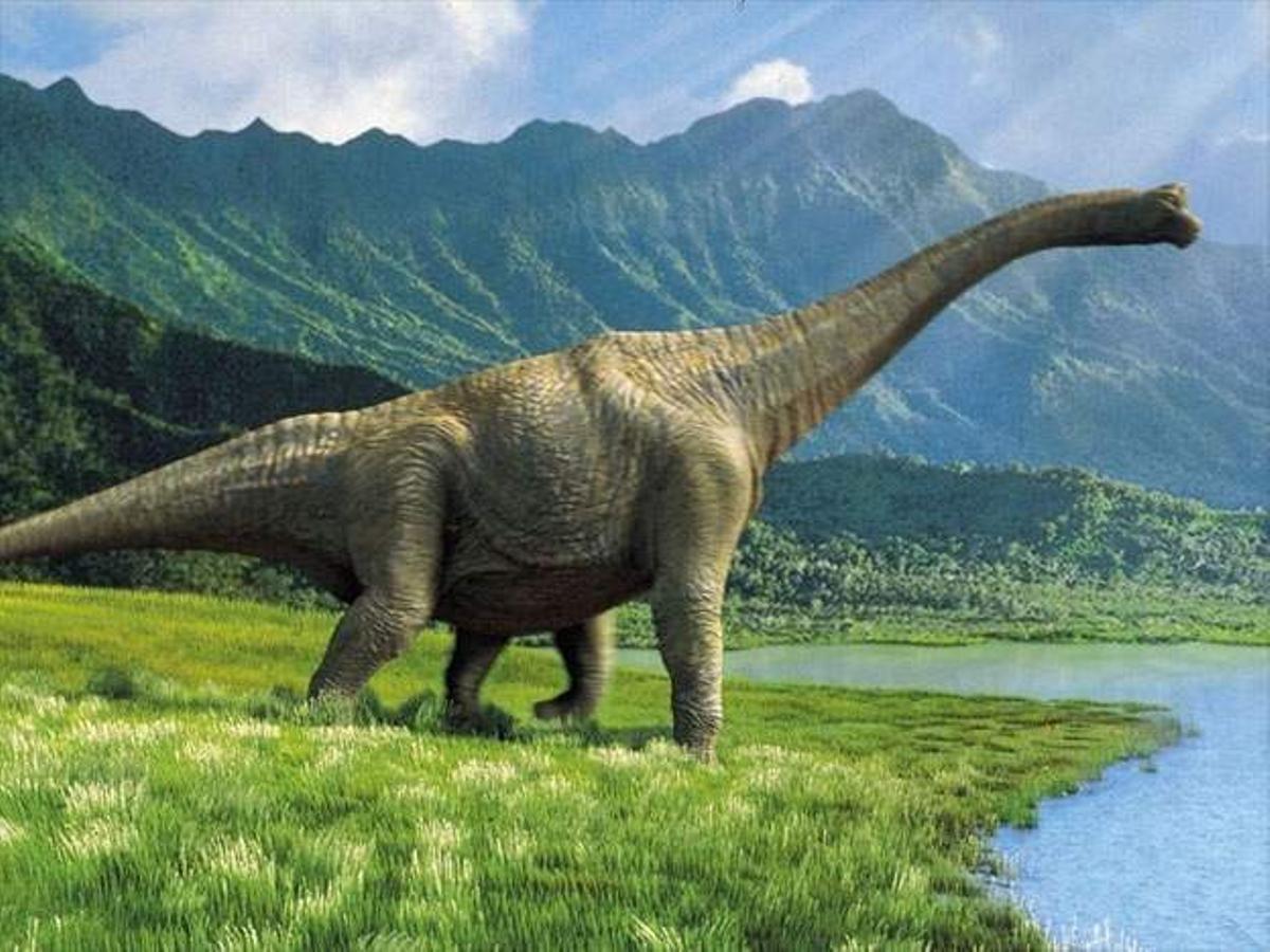 Ilustración de un saurópodo