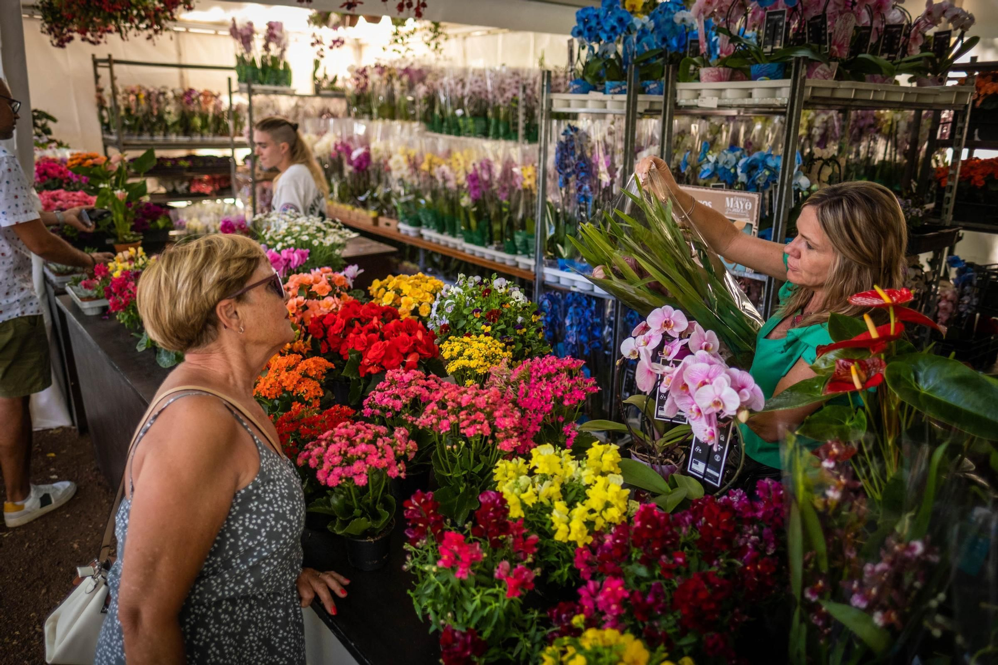 Inauguración de la exposición de flores y plantas del Parque García Sanabria