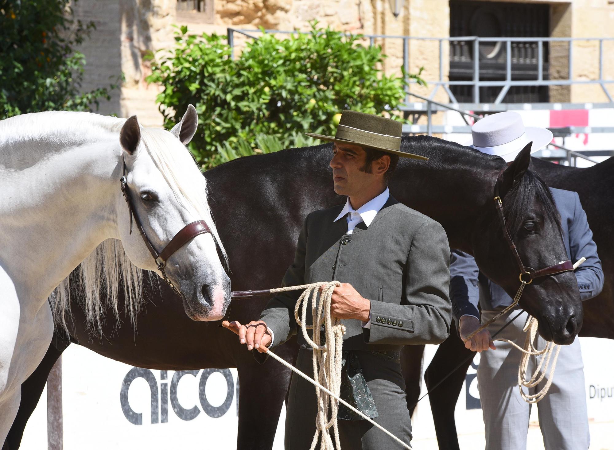 Cabalcor cierra su semana grande con todos los objetivos alcanzados