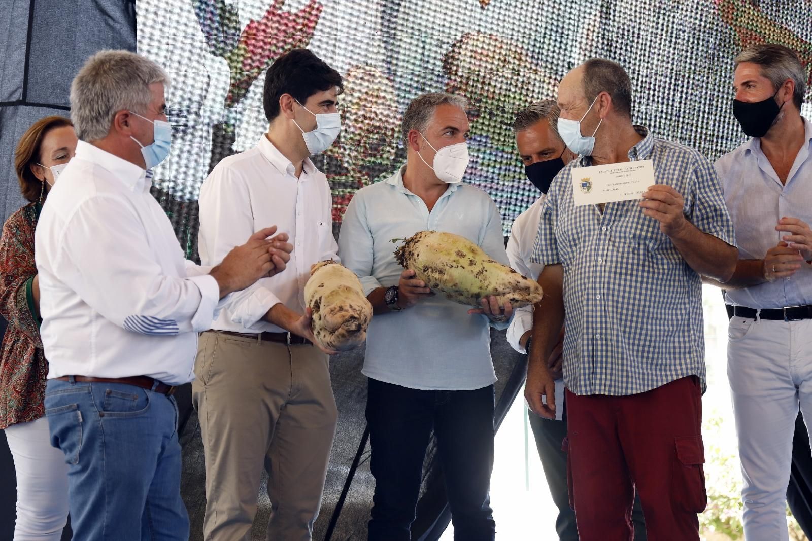 Concurso hortofrutícola de Coín y subasta Mejor Tomate Huevo de Toro