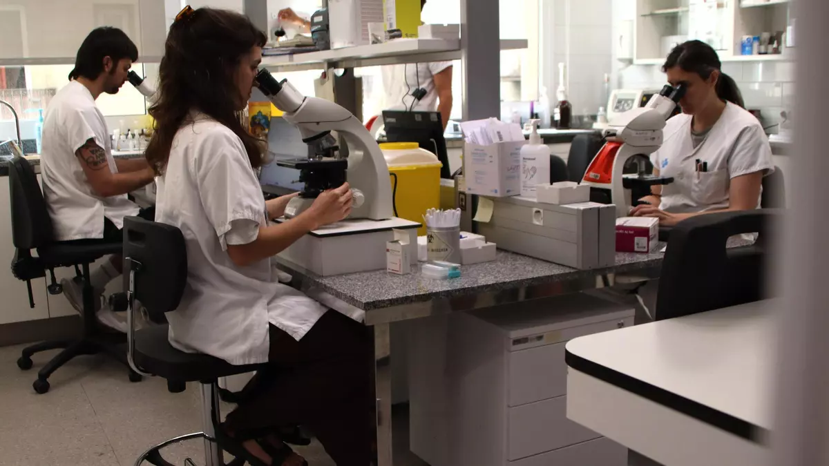 Cribados en la atención primaria de Barcelona para detectar dengue autóctono: "El mosquito tigre ha llegado para quedarse"