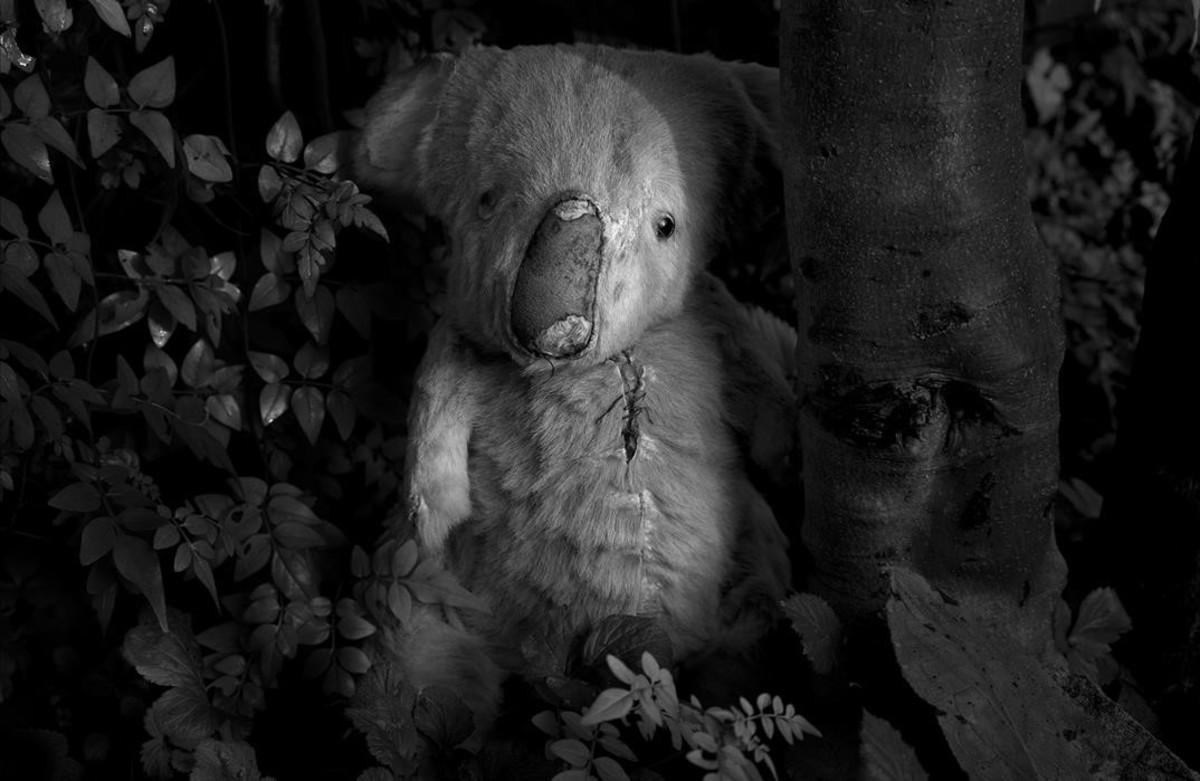 fcasals33111033 proyecto de verkami de fotos de alex llovet160309191118