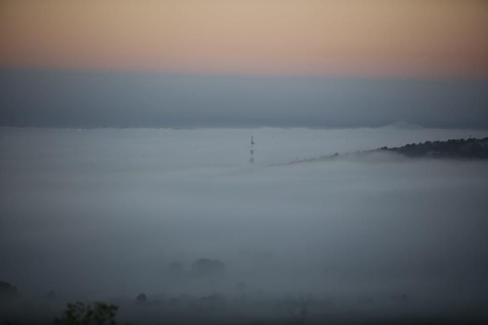 La niebla en Palma.