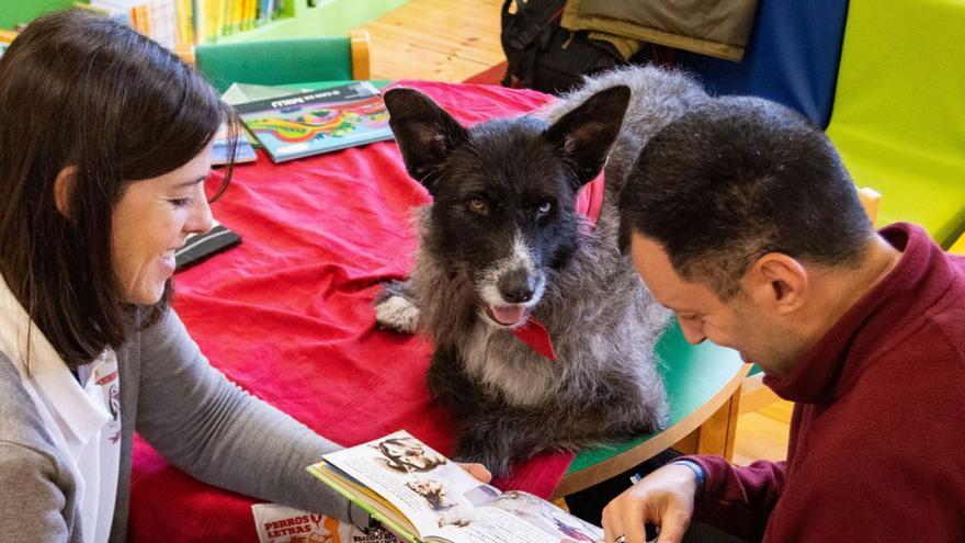 Cuatro años con perros como apoyo a la lectura en Culleredo | LA OPINIÓN