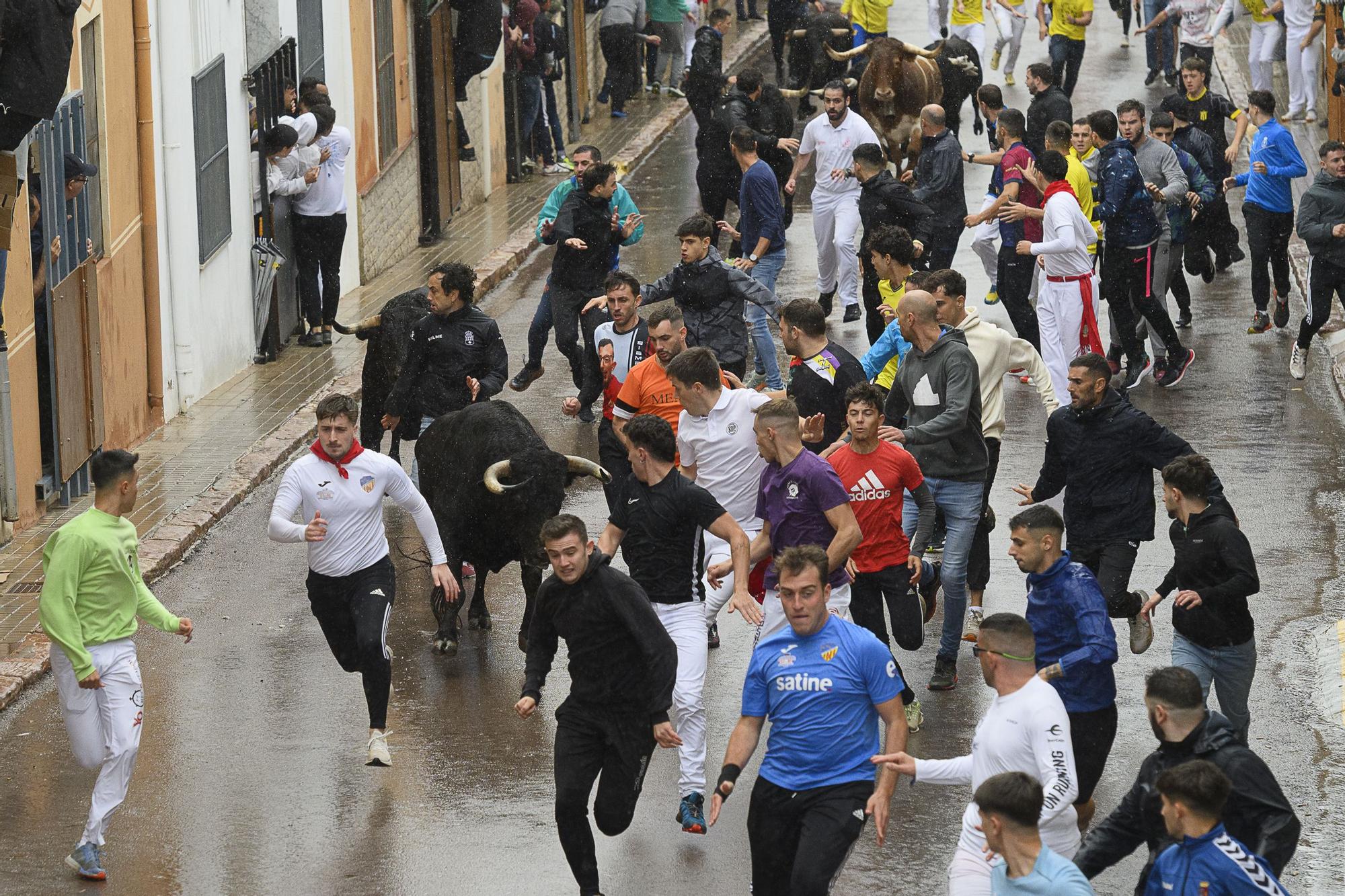 Velocidad y peligro en el histórico encierro de Victoriano del Río en la Vall d'Uixó