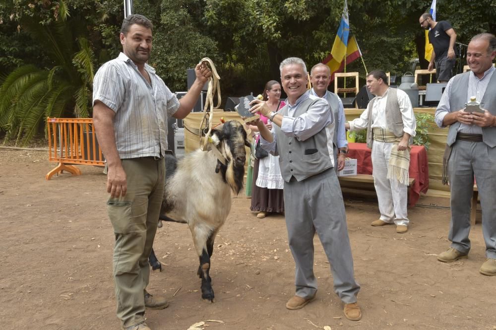 Feria de ganado