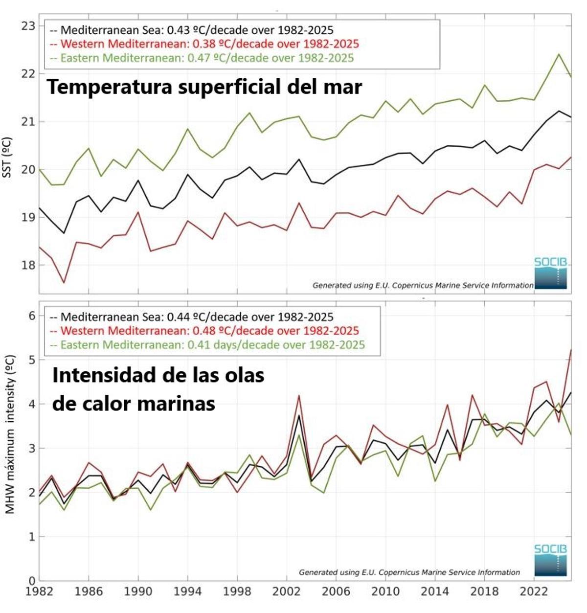 Principales datos del informe