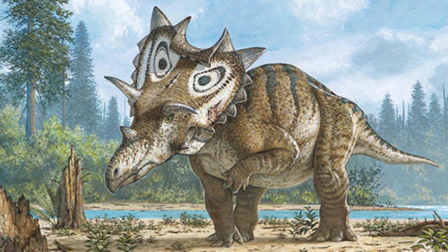 &#039;Spiclypeus shipporum&#039;, la nueva especie de dinosaurio.