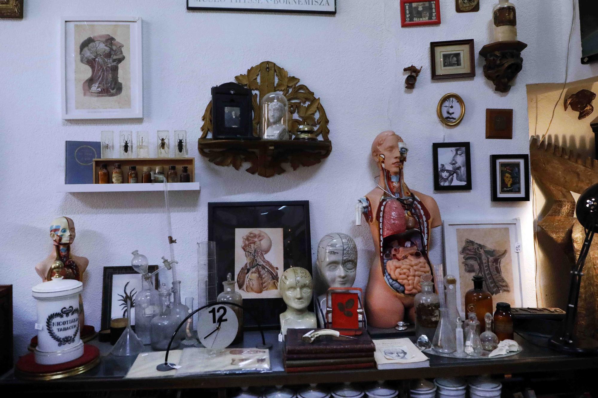 Pannonica un museo vintage