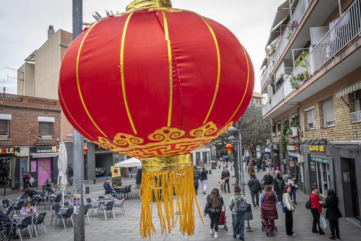 Farolillos rojos en las calles de Fondo para dar la bienvenida al Año Nuevo Chino