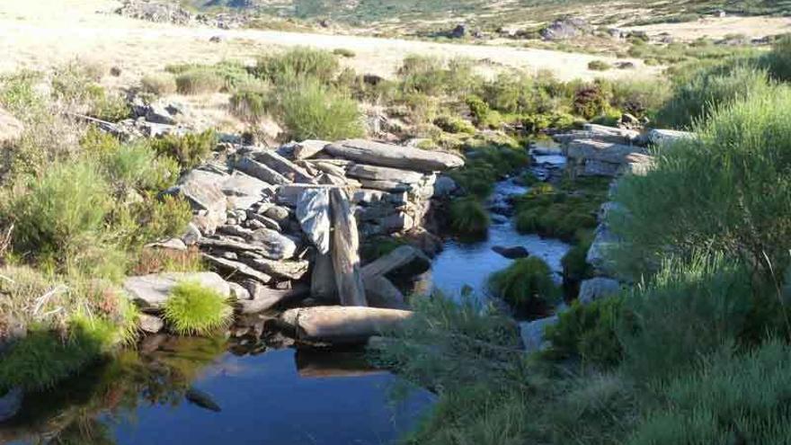 Aspecto del río Tera a su paso por la sierra sanabresa en un año de sequía.