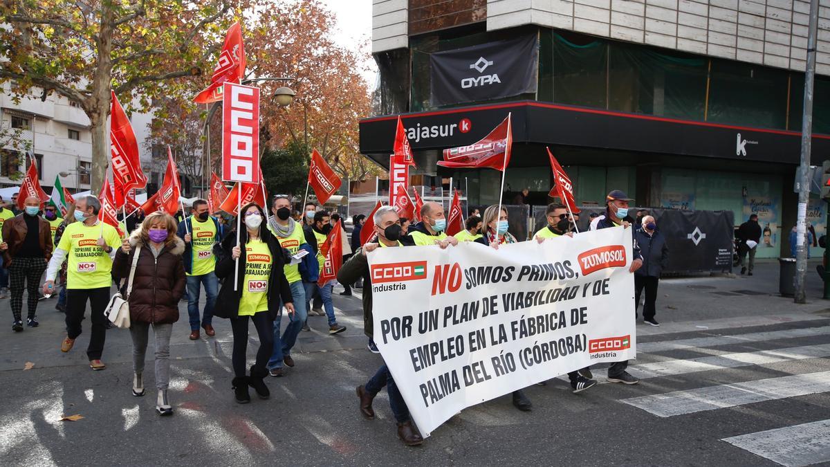 Protesta por las calles del centro de Córdoba de los trabajadores de Zumosol .