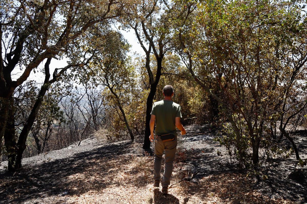 El Lagar de la Cruz, día uno tras el incendio