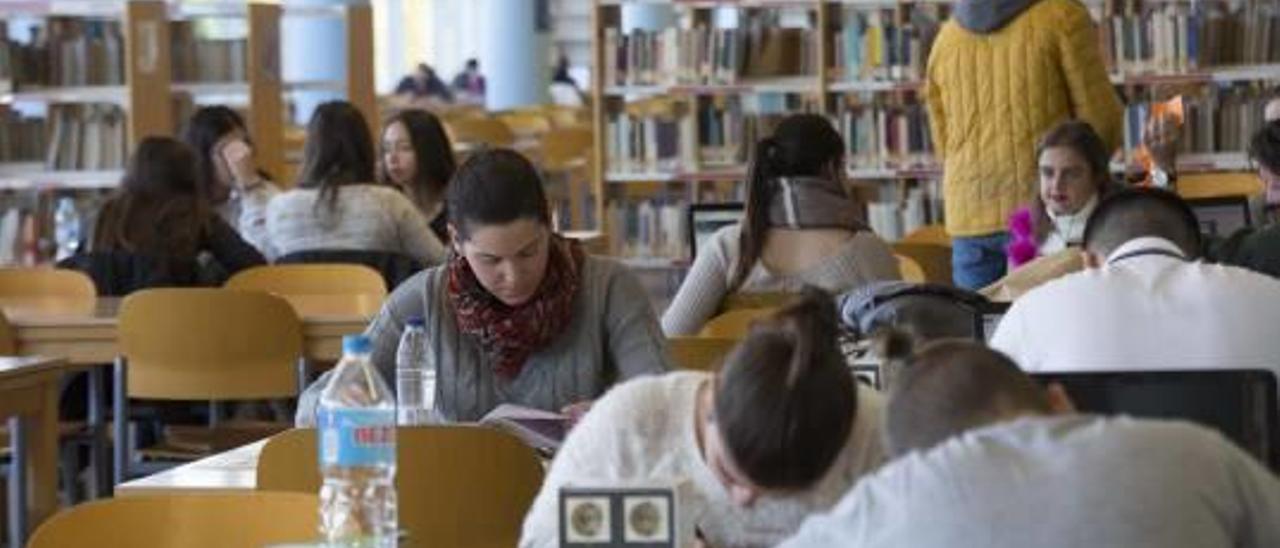 Mayoría de alumnas estudiando en la biblioteca de la Universidad de Alicante.