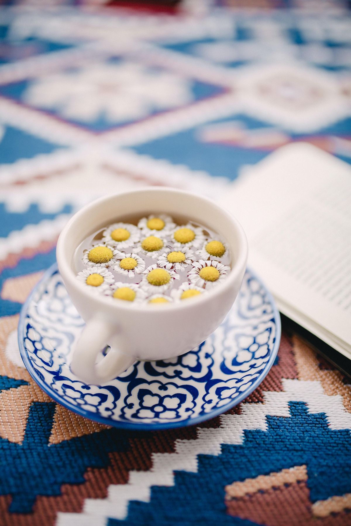 La infusión de manzanilla es ideal para adelgazar por la noche.