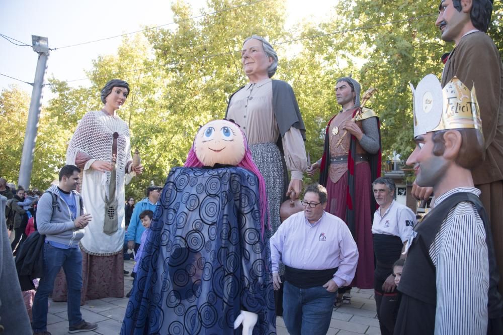 Trobada de gegants de Sant Joan