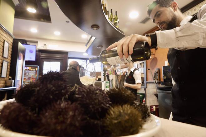 Gijón se relame con los oricios (gallegos) a espera de la campaña regional (en imágenes)