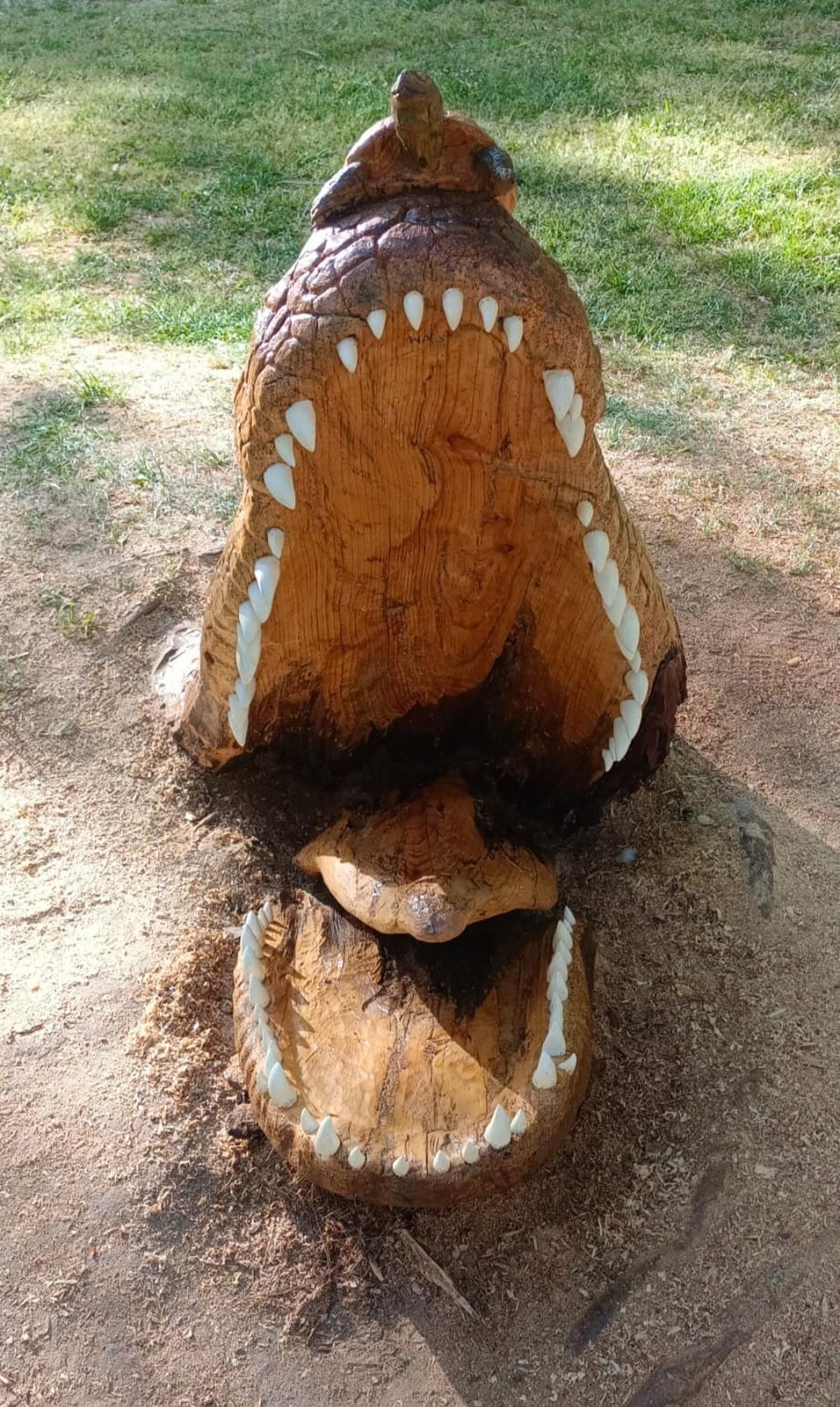 Vista frontal del cocodrilo.