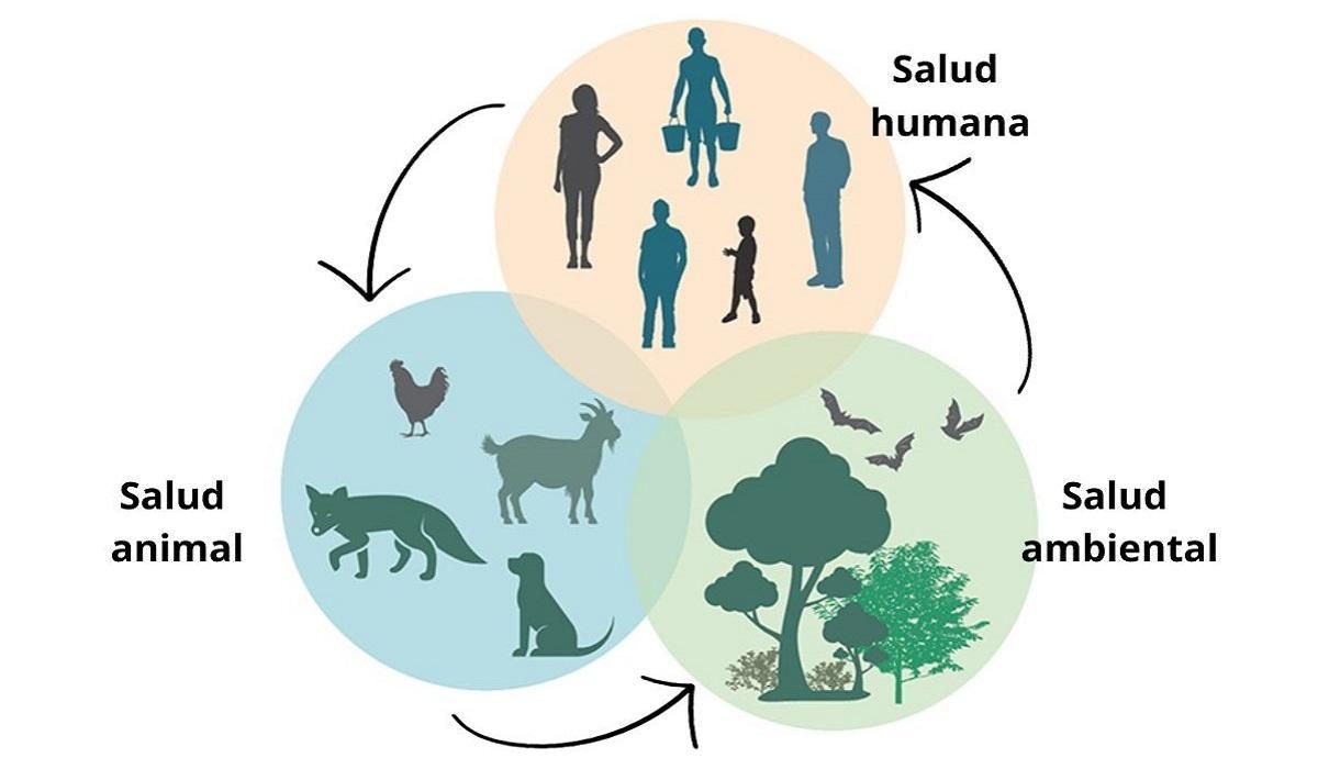 El concepto 'One Health' es la idea de que la salud humana está conectada con la salud animal y ambiental