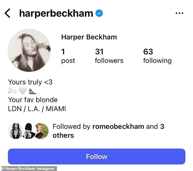 Perfil Harper Beckham