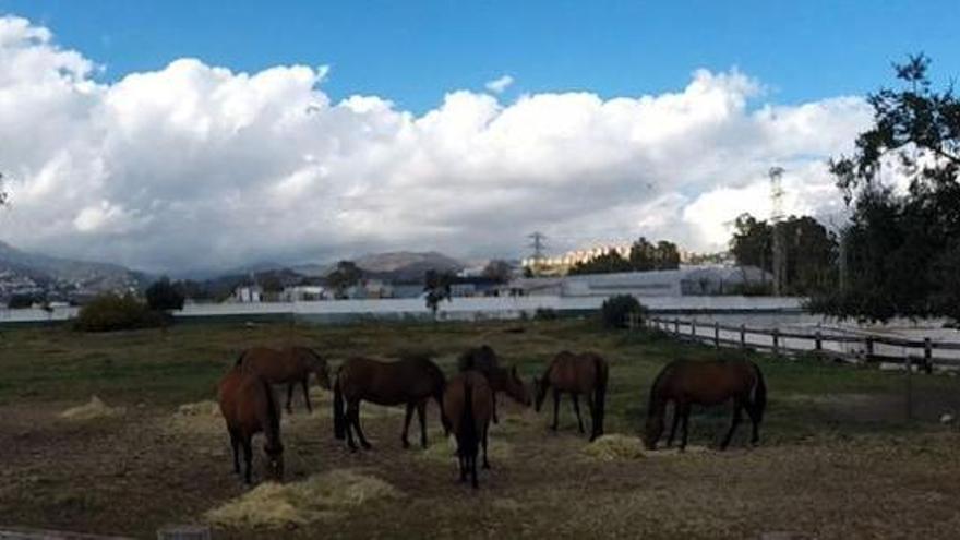 Imagen de la finca La Caridad.