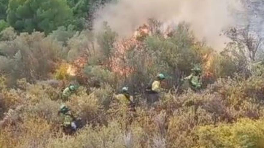 Extinguido el incendio forestal en Salares y Canillas de Albaida