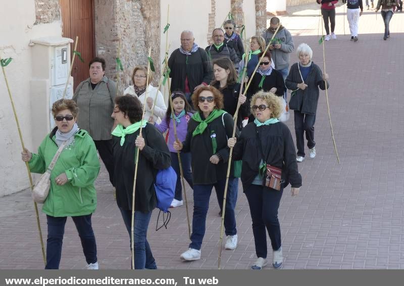 GALERÍA DE FOTOS - Romería Magdalena 2014 (2)