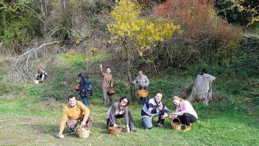 Un día soleado con apacible temperatura acompañó la jornada de recolección.