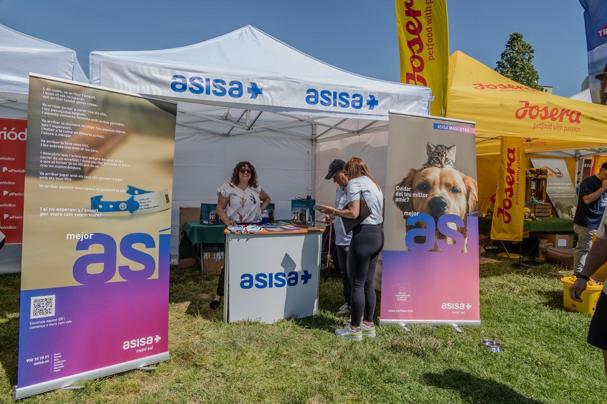 Carrera Can We Run, donde las personas y sus mascotas perrunas corren en familia.