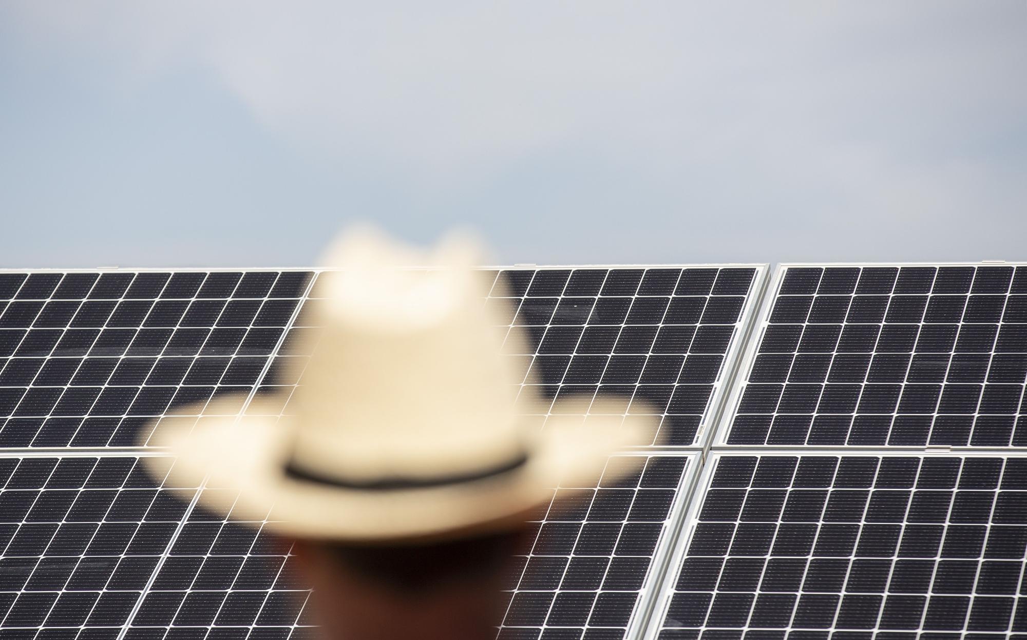 La primera planta solar de la cooperativa eléctrica de Catral ve la luz después de tres años