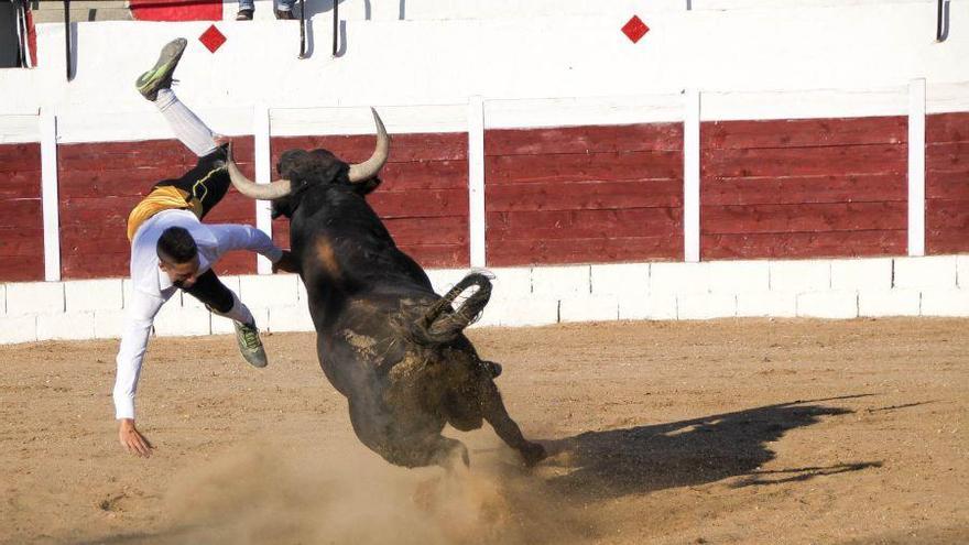 Momento de la cogida en San Miguel de la Ribera.