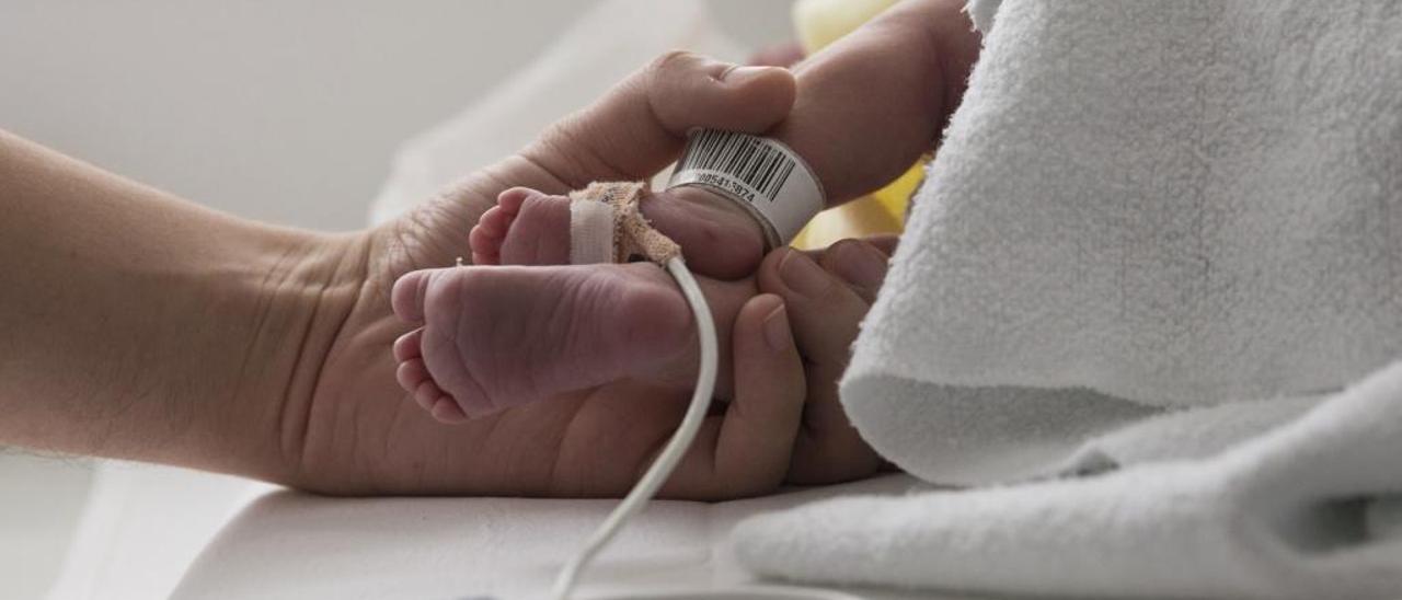 Cabueñes aprueba su primer ensayo clínico infantil con bebés prematuros