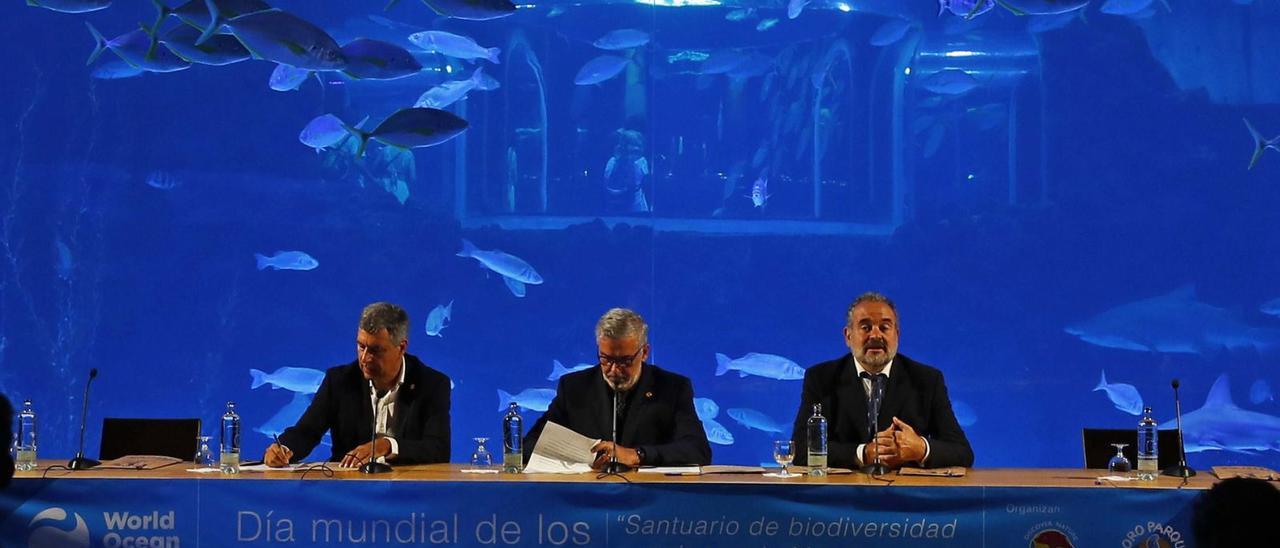 El rector de la ULPGC, Lluis Serra (c); el director de la Fundación Loro Parque, Javier Almunia (d); y el director del IUSA, Antonio Fernández (i), la apertura.