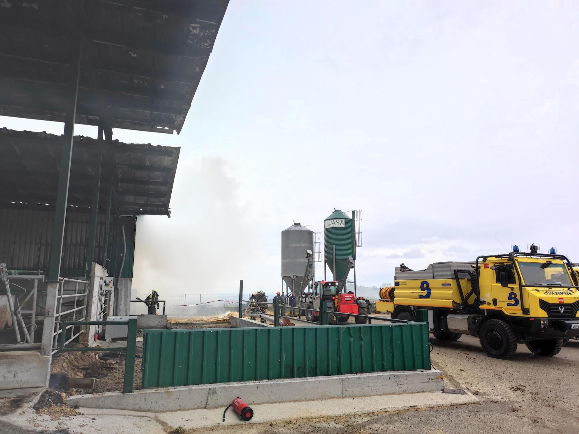 En imágenes: El fuego devora una nave ganadera en Otur (Valdés) y causa daños a un centenar de vacas