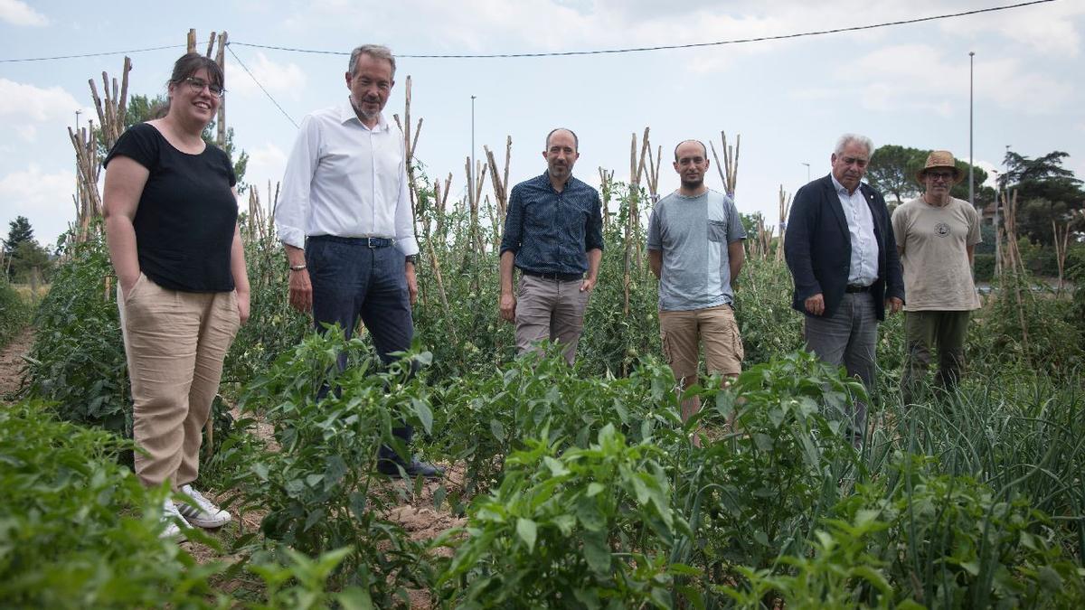 D&#039;esquerra a dreta, Marisa Trullàs, Francesc Lluch, Marc Aloy, Pol Huguet, Josep Tarín i Pere Calafell