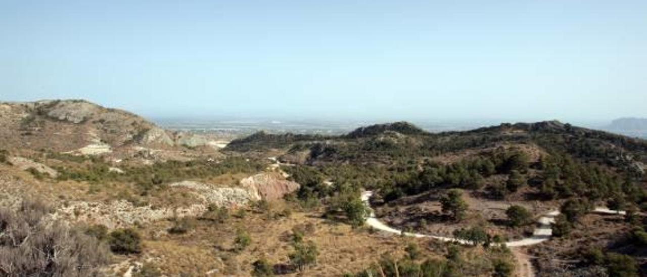 Clubes deportivos denuncian las trampas aparecidas en la sierra crevillentina.