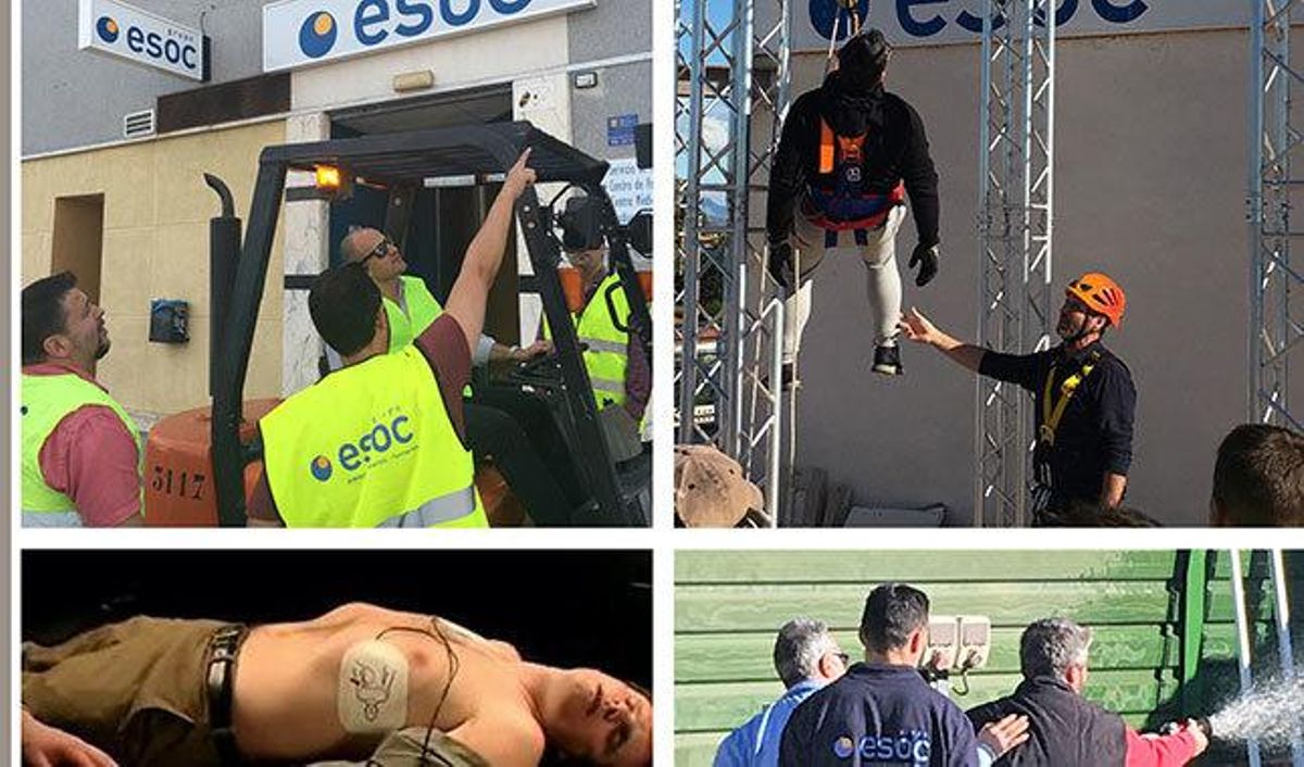 Las empresas alicantinas que apuestan por la prevención de riesgos laborales