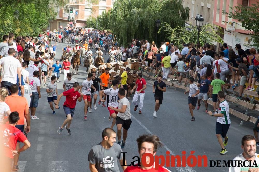 Séptimo encierro en Moratalla