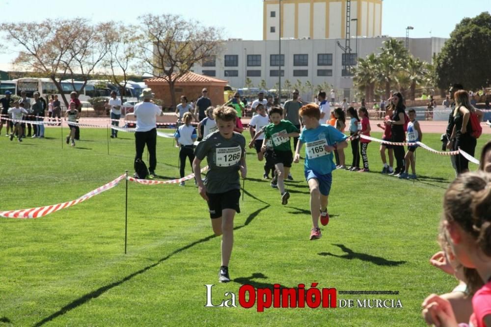 Final Cross Escolar de Lorca . Alevín masculino